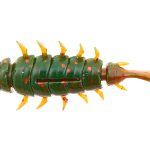Мягкая приманка Lucky John Series ALIEN BUG 2,5in (63 мм), цвет 085, 7 шт.
