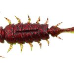 Мягкая приманка Lucky John Series ALIEN BUG 2,5in (63 мм), цвет T44, 7 шт.