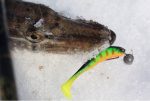 Виброхвост LUCKY JOHN Basara Soft Swim 3D, 5.0in (127 мм), цвет PG11, 4 шт. — изображение 4