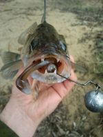 Мягкая приманка Lucky John MINNOW 3.3in (84 мм), цвет T52, 7 шт. — изображение 3