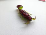 Мягкая приманка Lucky John Series ALIEN BUG 2,5in (63 мм), цвет 033, 7 шт. — изображение 5