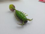 Мягкая приманка Lucky John Series ALIEN BUG 2,5in (63 мм), цвет 033, 7 шт. — изображение 7