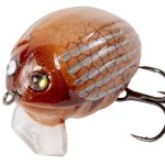 Воблер плавающий Salmo LIL`BUG 2.5 см, цвет MF