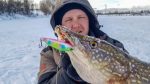 Воблер вертикальный LUCKY JOHN Vib S 68, цвет 101, арт. LJVIB68-101 — изображение 5